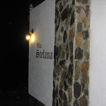 Vila Stefana Paltinis Exterior photo