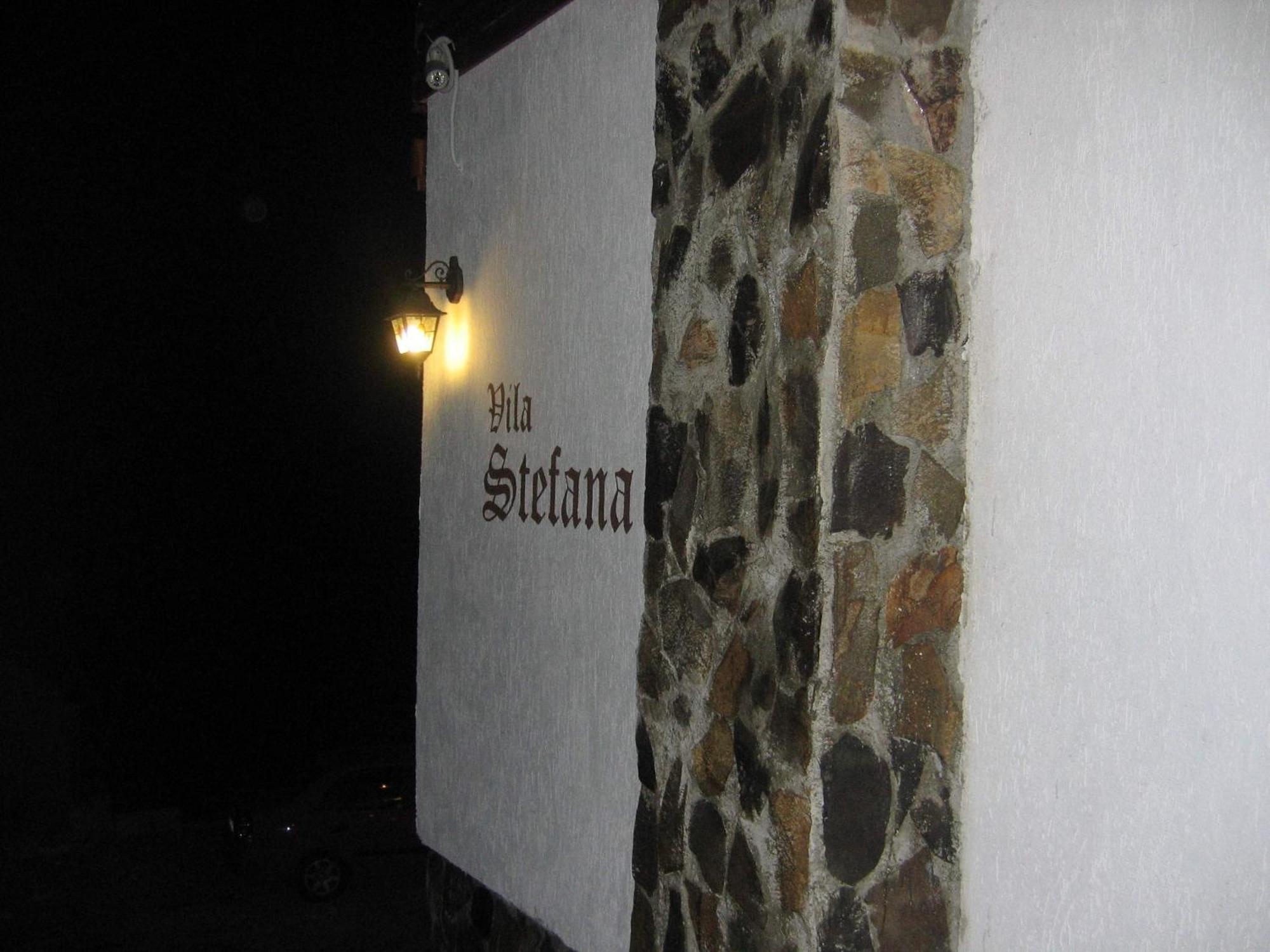 Vila Stefana Paltinis Exterior photo